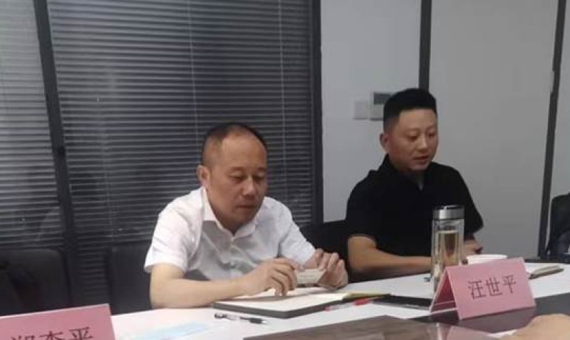 安庆市迎江区区政府汪世平区长带队来我司参观考察